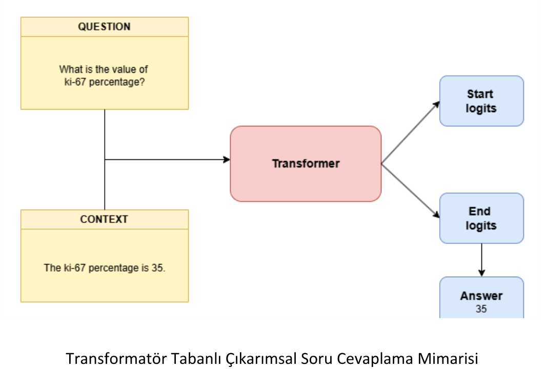 Özet P61: Comparative Analysis of State-of-the-Art Extractive Question Answering Models for Histopathology Report Information Extraction